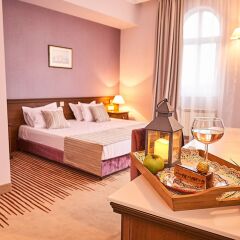 Hotel Lion Sofia комната для гостей фото 3