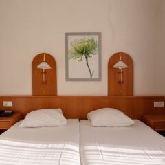 Отель Owl Hotel Нидерланды, Амстердам - 1 отзыв об отеле, цены и фото номеров - забронировать отель Owl Hotel онлайн комната для гостей фото 7