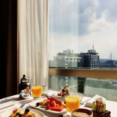 Отель Hyatt Regency Belgrade в номере фото 2