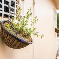 Отель Eventuality Bed and Breakfast балкон