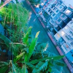 Baan Nampetch Hostel