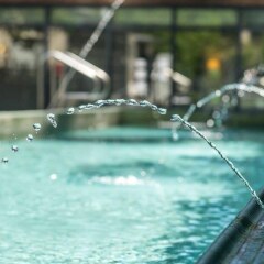 Отель L'Hermitage Hotel Канада, Ванкувер - отзывы, цены и фото номеров - забронировать отель L'Hermitage Hotel онлайн бассейн фото 3