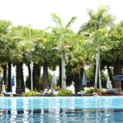 Отель Botany Beach Resort с домашними животными