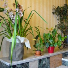 Hotel Nuovo Murillo сауна