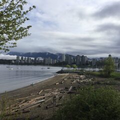 Отель Vancouver West Luxurious House Канада, Ванкувер - отзывы, цены и фото номеров - забронировать отель Vancouver West Luxurious House онлайн