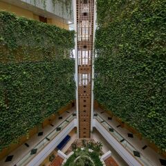 Отель Mercure Grand Jebel Hafeet Al Ain Hotel ОАЭ, Эль-Айн - отзывы, цены и фото номеров - забронировать отель Mercure Grand Jebel Hafeet Al Ain Hotel онлайн фото 6