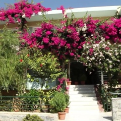 Dedalos Beach Hotel фото 7