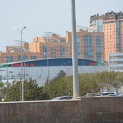 Zozh Хостел городской автобус фото 2