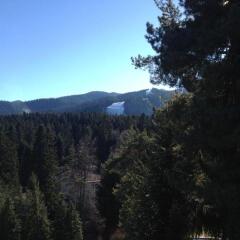 Отель Borovets Edelweiss Болгария, Боровец - отзывы, цены и фото номеров - забронировать отель Borovets Edelweiss онлайн