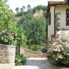 Отель Villa Rigacci Реггелло фото 9