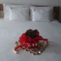 Отель Garni Hotel Villa Family Сербия, Белград - отзывы, цены и фото номеров - забронировать отель Garni Hotel Villa Family онлайн комната для гостей
