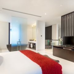 Отель Twinpalms Phuket 5* Номер Deluxe palm с различными типами кроватей фото 2