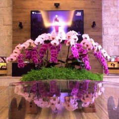 Отель Villa Le Hoang Далат помещение для мероприятий
