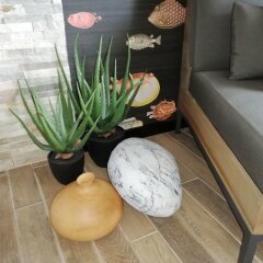 Отель Three Cities Apartments Мальта, Гранд-Харбор - отзывы, цены и фото номеров - забронировать отель Three Cities Apartments онлайн спа фото 2