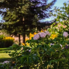Отель Aparthotel Biosostenible JardÍn Del RÍo Cuervo Трагасете фото 14