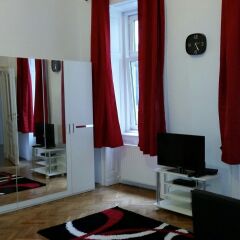 Апартаменты Goldfisch Apartment Central Park комната для гостей