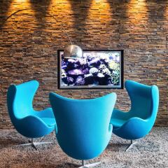 Отель Motel One Wien-Westbahnhof Вена развлечения