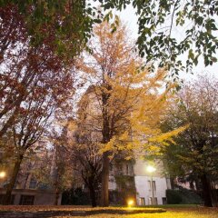 Отель IH Hotels Milano ApartHotel Argonne Park Италия, Милан - 2 отзыва об отеле, цены и фото номеров - забронировать отель IH Hotels Milano ApartHotel Argonne Park онлайн фото 7