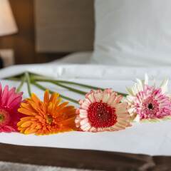 Libra Nha Trang Hotel в номере фото 2