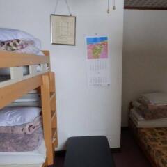 Nikko Suginamiki Youth Hostel Никко удобства в номере