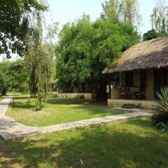 Отель Lumbini Buddha Garden Resort Непал, Лумбини - отзывы, цены и фото номеров - забронировать отель Lumbini Buddha Garden Resort онлайн фото 13