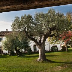 Отель Villa Coralia Озимо фото 13