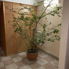 Гостиница Inn on Zhytomyrska фото 3