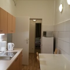Отель Raisa Apartments Lerchenfelder Gürtel 30 Австрия, Вена - отзывы, цены и фото номеров - забронировать отель Raisa Apartments Lerchenfelder Gürtel 30 онлайн фото 6