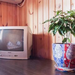 Гостиница Guest House Nadezhda в Сочи отзывы, цены и фото номеров - забронировать гостиницу Guest House Nadezhda онлайн фото 2