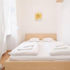 Отель Vienna-apartment-one Schmidgasse Австрия, Вена - отзывы, цены и фото номеров - забронировать отель Vienna-apartment-one Schmidgasse онлайн детские мероприятия