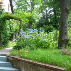 Отель Guest Complex Sosny Светлогорск фото 19
