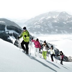 Отель Luxurious Apartment in Piesendorf Near Ski Area Австрия, Зальцбург - отзывы, цены и фото номеров - забронировать отель Luxurious Apartment in Piesendorf Near Ski Area онлайн фото 18