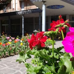 Отель Terme Villa Piave Италия, Абано-Терме - отзывы, цены и фото номеров - забронировать отель Terme Villa Piave онлайн фото 2