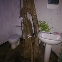 Отель Yala Wild House ванная