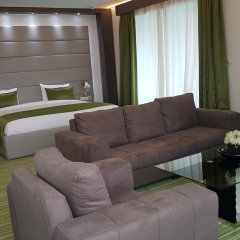 Hani Hotel комната для гостей