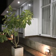 Отель Salubrious Resort Анурадхапура комната для гостей фото 2