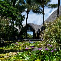 Отель Le Meridien Bora Bora Французская Полинезия, Бора-Бора - отзывы, цены и фото номеров - забронировать отель Le Meridien Bora Bora онлайн приотельная территория