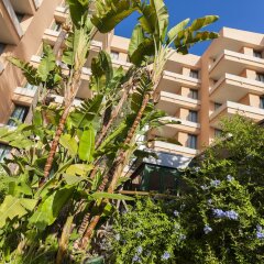 Отель Globales Nova Apartamentos Испания, Магалуф - 1 отзыв об отеле, цены и фото номеров - забронировать отель Globales Nova Apartamentos онлайн фото 19
