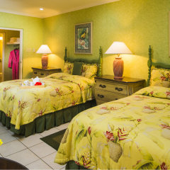 Отель Polkerris Bed & Breakfast Ямайка, Монтего-Бей - отзывы, цены и фото номеров - забронировать отель Polkerris Bed & Breakfast онлайн фото 4