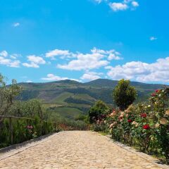 Отель Rural Quinta Do Silval Алижо фото 21
