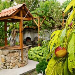 Отель Guest House De Charme Pri Baba Lili Болгария, Кюстендил - отзывы, цены и фото номеров - забронировать отель Guest House De Charme Pri Baba Lili онлайн фото 6