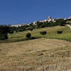 Отель Agriturismo Il Gelso Antico Италия, Реканати - отзывы, цены и фото номеров - забронировать отель Agriturismo Il Gelso Antico онлайн спортивное сооружение