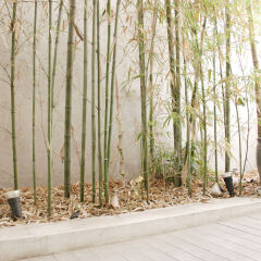 Отель The Mei Haus Hongdae