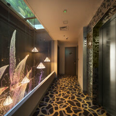 Hotel Clover 7 интерьер отеля фото 2