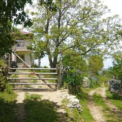 Отель Melanya Mountain Retreat Болгария, Ардино - отзывы, цены и фото номеров - забронировать отель Melanya Mountain Retreat онлайн фото 27