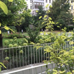 Апартаменты Apartments near Rathaus балкон