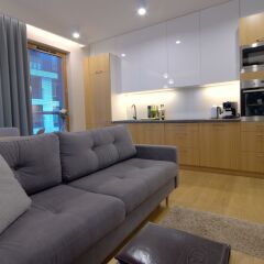 Апартаменты IRS ROYAL APARTMENTS Bursztynowa комната для гостей фото 3