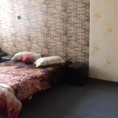 Hostel Alex 2 София детские мероприятия