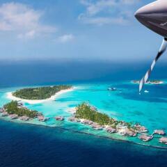 Отель Cheval Blanc Randheli Maldives с домашними животными