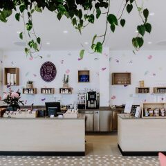 Отель Amadeo Hotel Schaffenrath Австрия, Зальцбург - отзывы, цены и фото номеров - забронировать отель Amadeo Hotel Schaffenrath онлайн интерьер отеля